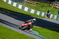 Vintage-motorcycle-club;eventdigitalimages;mallory-park;mallory-park-trackday-photographs;no-limits-trackdays;peter-wileman-photography;trackday-digital-images;trackday-photos;vmcc-festival-1000-bikes-photographs